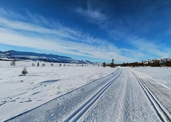With Panoramic Views At Syndin Plateau Ryfoss